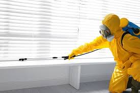 Best Fumigation Services  in Mbria, CA